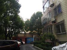 世纪公园地铁口,电梯高区景观房,房东自住精装修