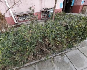 福星家园B区三层小户型,干净整洁,出行便利,配套成