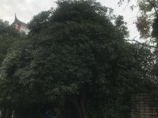 真如电梯房,总价低,装修好,可拎包入住