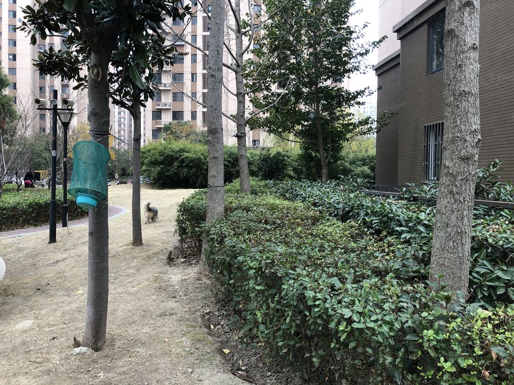 小区相关图