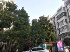 永恒公寓3室南朝向570.00万元/套出售