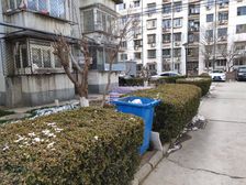 东辰小区3室1厅南北