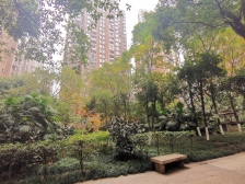 辅仁路 康德国会山二房77万