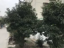 近地铁 刚需上车,中间楼层,新上房源