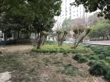 花木·绿缘公寓·2室·2厅