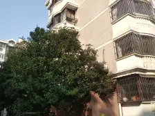 周浦·永恒公寓·3室·2厅