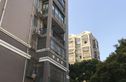 龙柏金铃公寓实景图