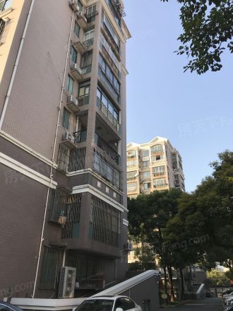 龙柏金铃公寓实景图