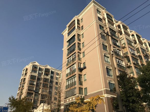 龙柏金铃公寓实景图