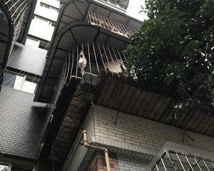 辉煌佳苑3室1厅东南