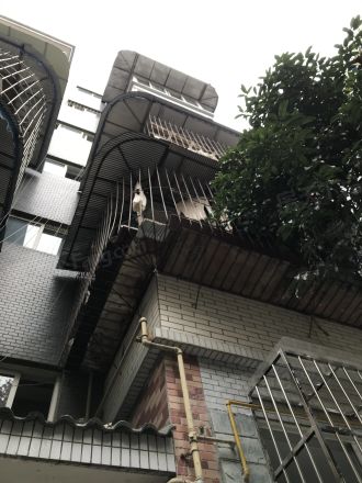 辉煌佳苑实景图