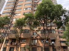 臻藏好房!黄河路繁花人广经脉,精装修,曹光标+格初