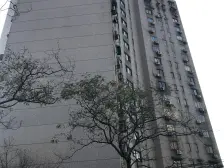 豪横!村房价格买地铁口商品房 总监强推