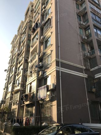 龙柏金铃公寓实景图