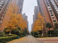 辅仁路 康德国会山三房135万