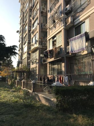 龙柏金铃公寓实景图