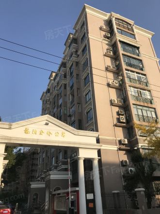 龙柏金铃公寓实景图