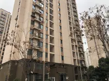 视野景观房 楼层好 电梯房 边套户型