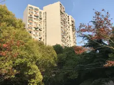 龙柏·龙柏易居公寓·2室·1厅