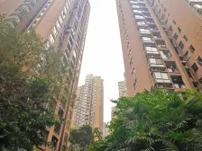 采光视野都很好,户型方正 ,业主诚心卖