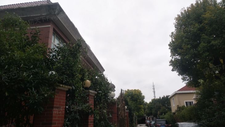 绿苑别墅实景图