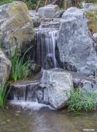 天麟府·瑧林实景图