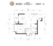 时代天境（金沙洲）建筑面积约55㎡一房户型