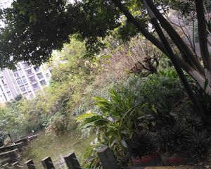 东苑A区4室2厅南