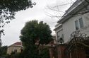 绿苑别墅实景图