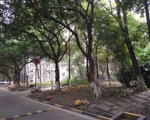 东苑A区3室2厅北