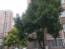 双轨13/18号线,电梯高区,居家装修视野开阔,诚售