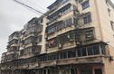 信谊新村实景图