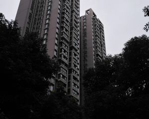 东苑A区3室1厅南