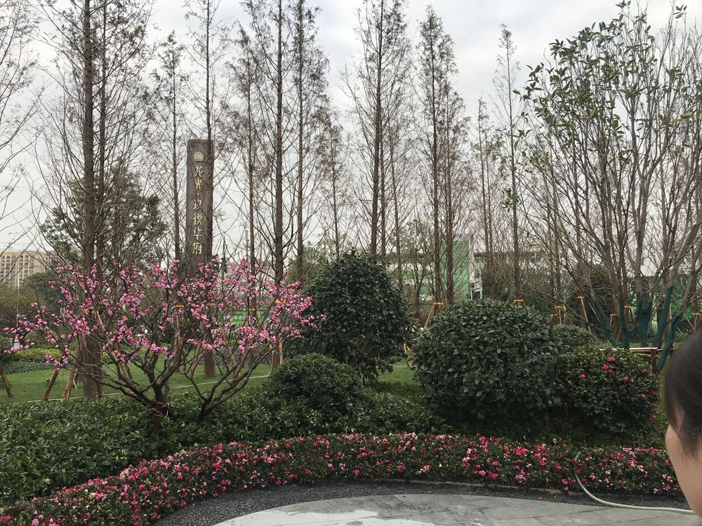 小区相关图