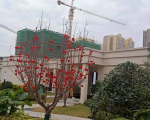 世纪悦城3室2厅东南