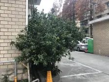 南北通全明户型 中间楼层有电梯 视野无挡 看房有钥匙