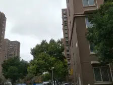 金色中环内 双轨交汇 三房两厅