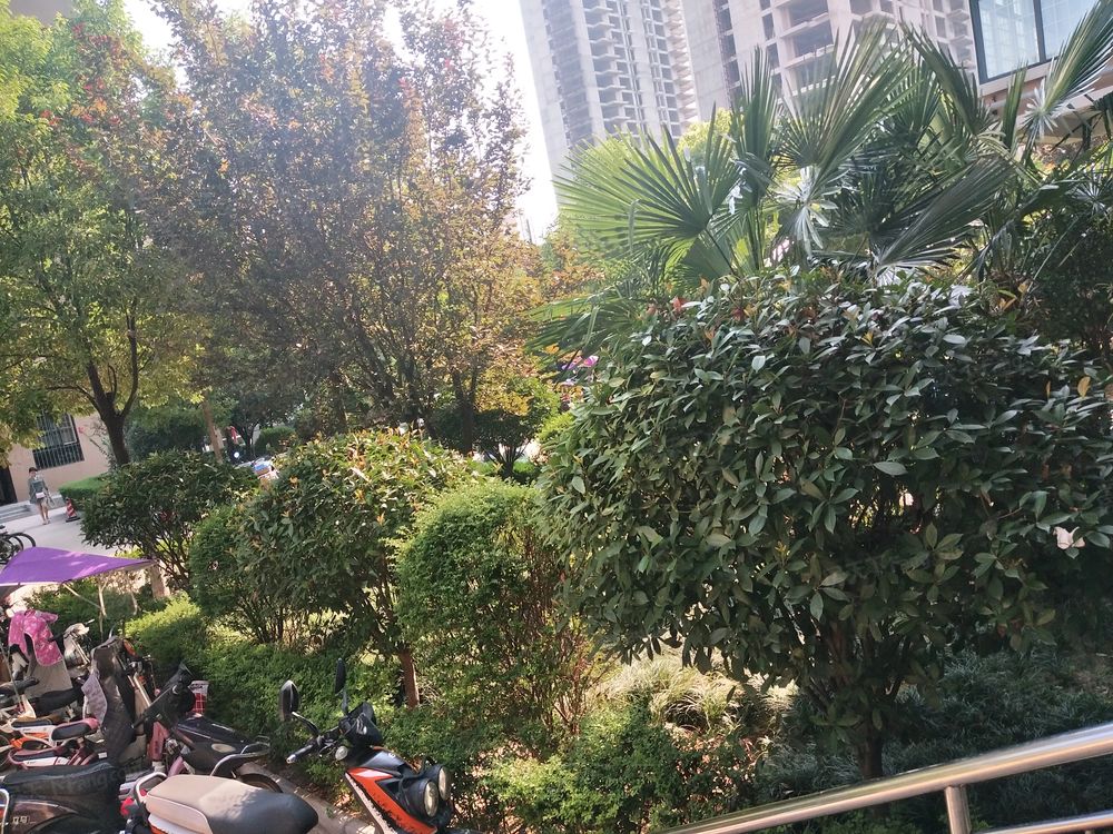 小区相关图