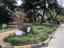 俯瞰公园,原装电梯房,双南户型