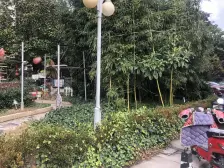 两房 加一个功能间9楼 看房方便