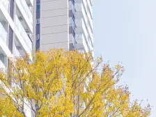 旭辉江山墅 3室1厅 西南