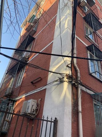 和平街九区实景图