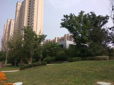 带电梯精装未住联排别墅地上4层露台负一院子车库