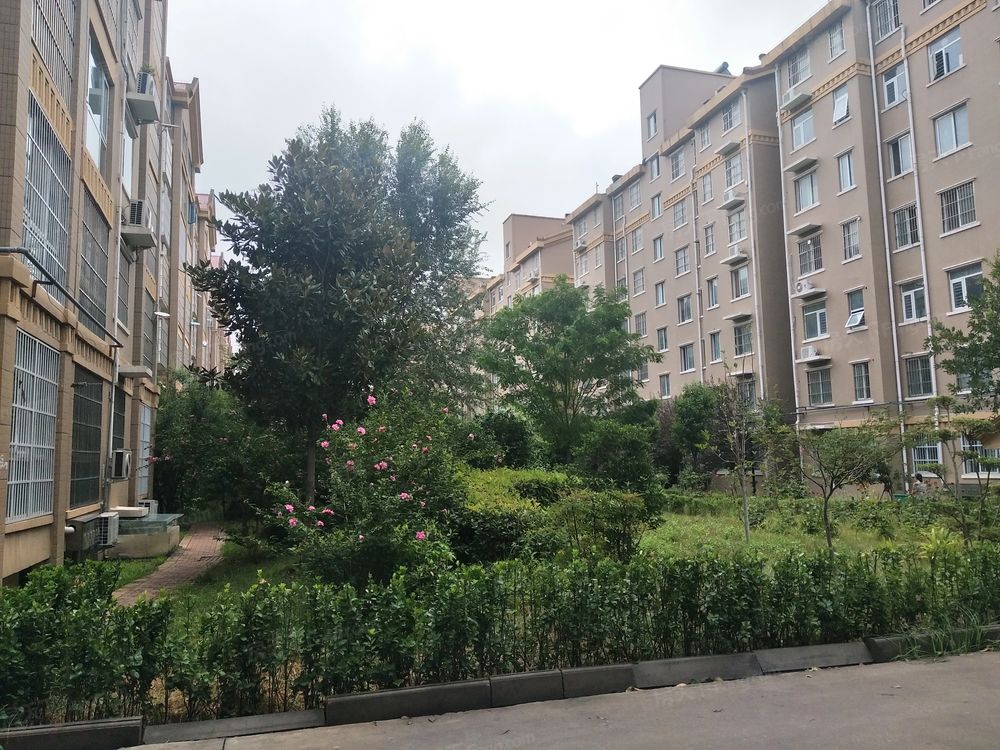 小区相关图