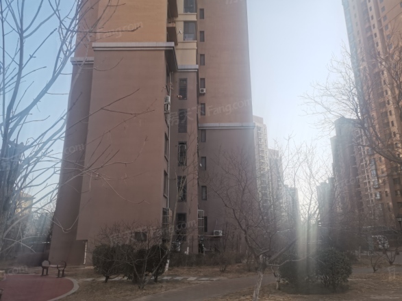 红磡领世郡实景图