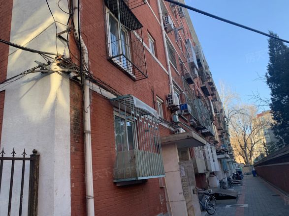 和平街九区实景图