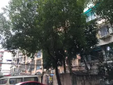 新上房源,中间楼层看房随时,业主诚心卖价格好谈