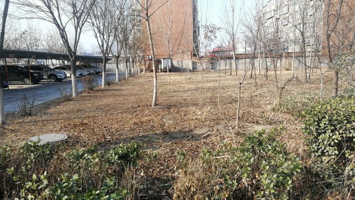 东郡绿岛实景图