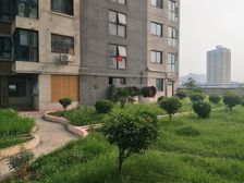 儒骏和园三室两厅一厨一卫110平