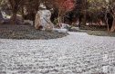 天麟府·瑧林实景图